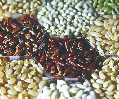 應用範圍, 中 / 西藥、生技、食品、化工、混合、磨粉、輸送、包裝設備